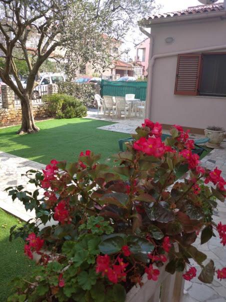 PUY Apartments Obelix מראה חיצוני תמונה